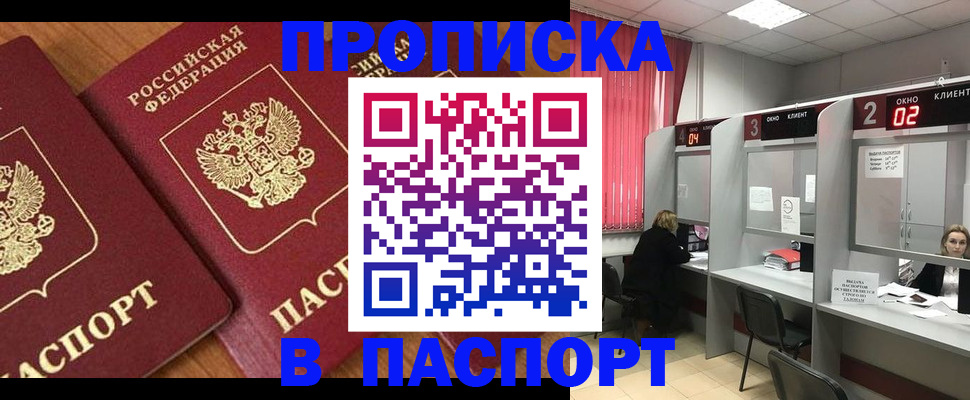 где прописаться в Нелидово